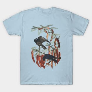 John J. Audubon’s Fish Crow T-Shirt